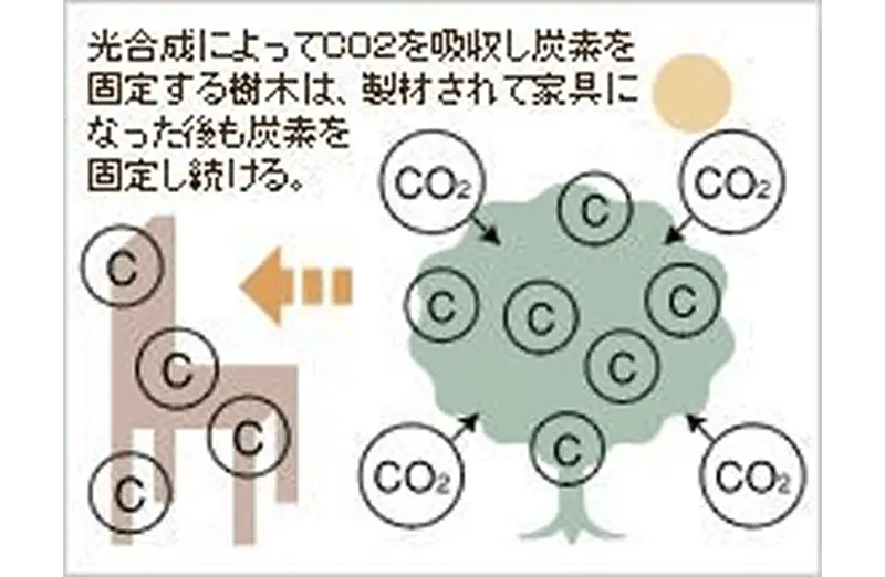 木は炭素の貯蔵庫