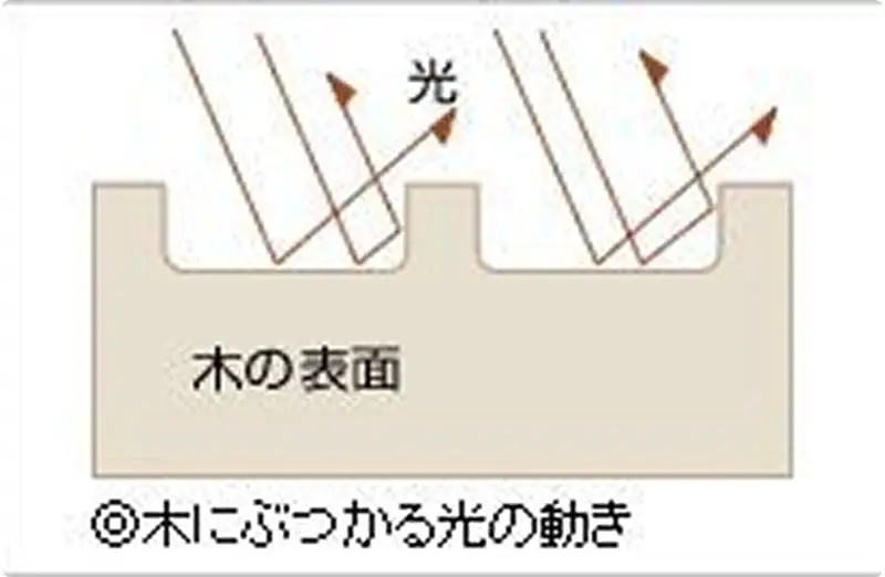 安らぎをもたらす木の効用