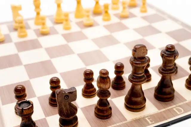 パドック特徴02