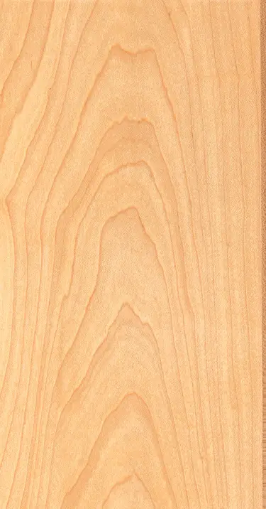 ハードメープル