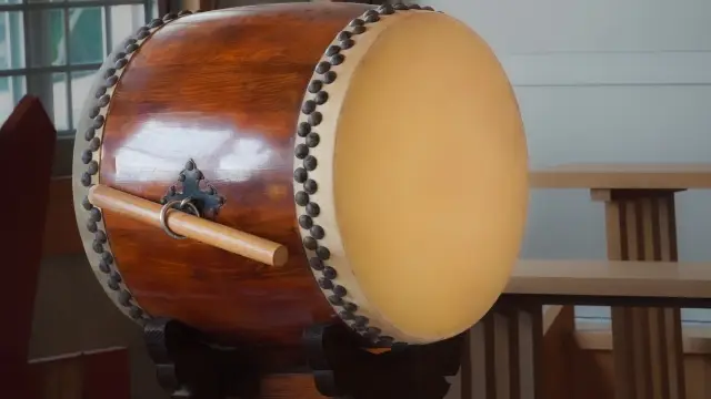 ブビンガ特徴02