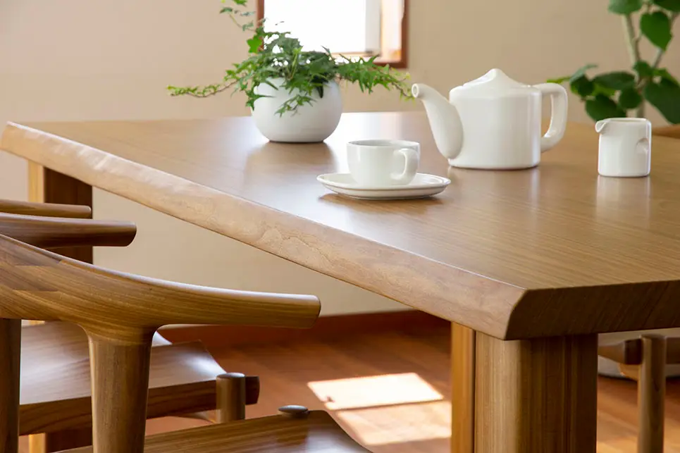 アフロモシアの特徴