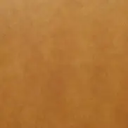 DUO専用ヌメ革　キャメル