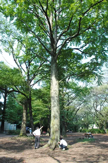 10.jpg