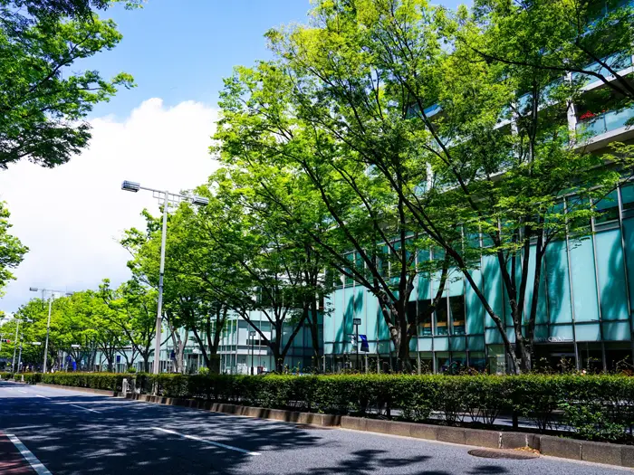 アイキャッチ画像