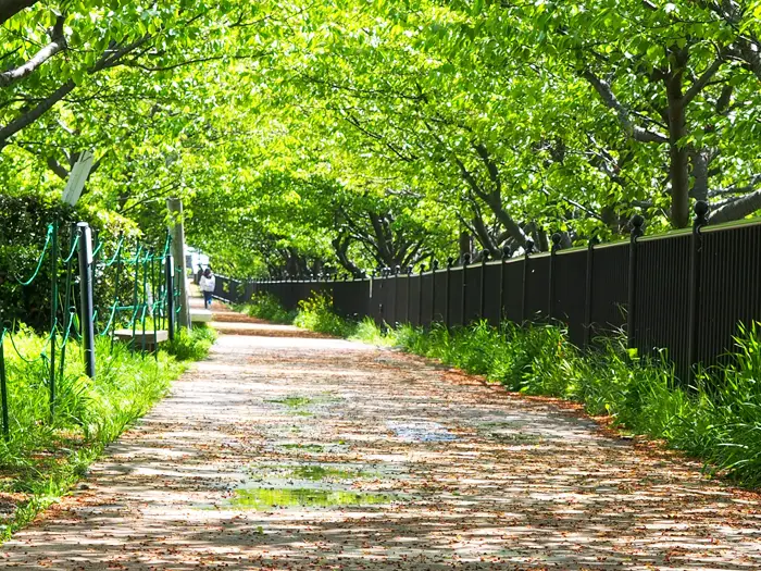 アイキャッチ画像