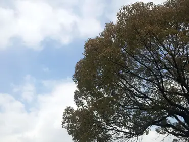 20130221_140422.jpg