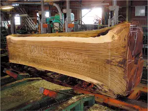 無垢材 原木 ウォールナット 製材