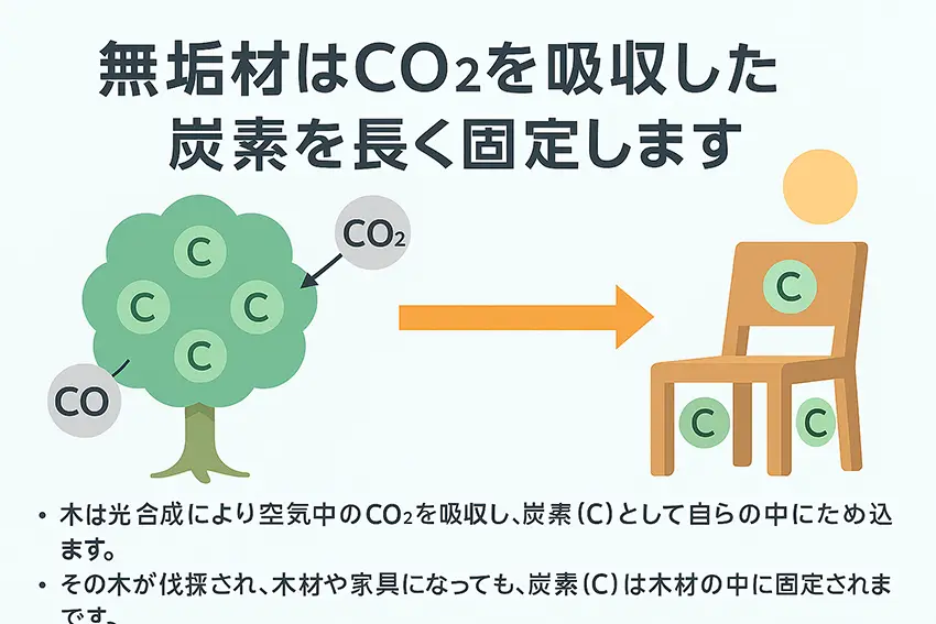 木は炭素の貯蔵庫
