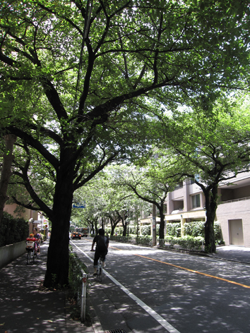 お客様訪問記