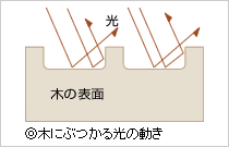 安らぎをもたらす木の効用