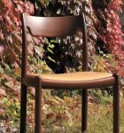 無垢材 チェア ラフィネ(無垢材 CHAIR<br />
RAFFINÉ)商品写真