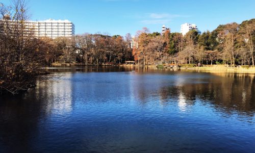 吉祥寺、井の頭公園周辺のインテリアショップの歴史