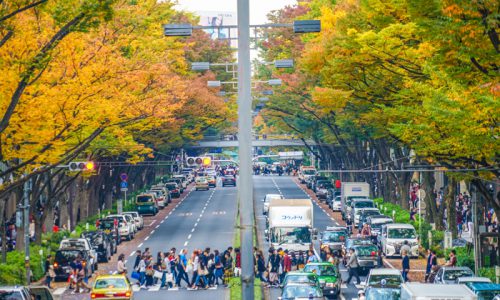 南青山で出会うウォールナットの無垢材家具