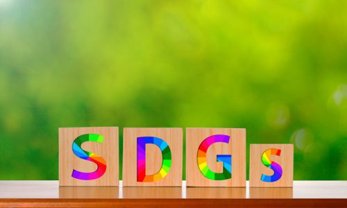 SDGsと無垢材家具の「良い関係」